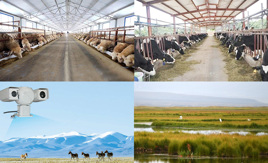 8km wireless communication module video monitoring livestock farm/nature reserve wireless transmission 8km wireless communication module video monitoring livestock farm/nature reserve wireless transmission